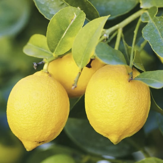 Vitamin C